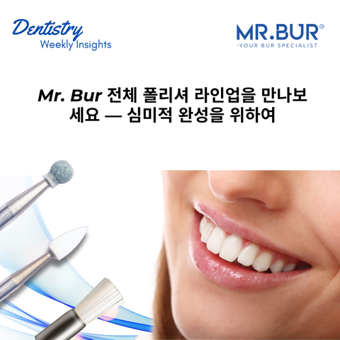 미스터 버 폴리셔의 미적 우수성을 만나보세요